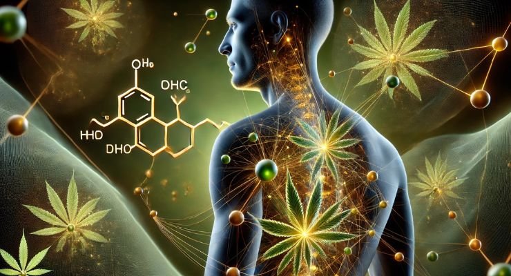 How Does Delta 9 THC Work In The Body