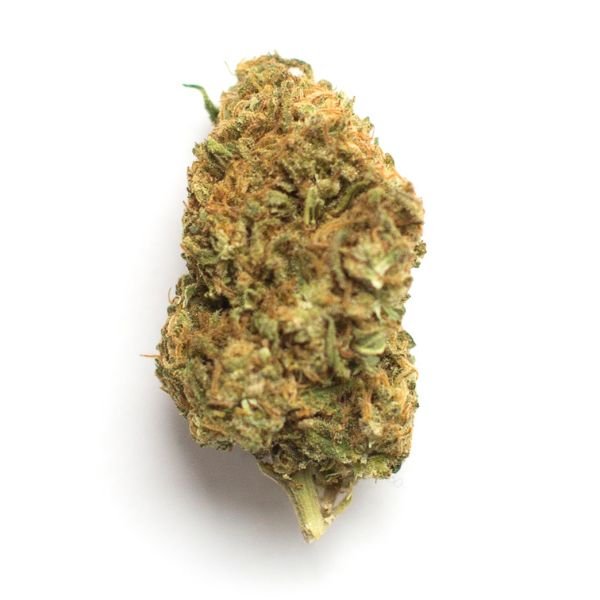 Bubblegum