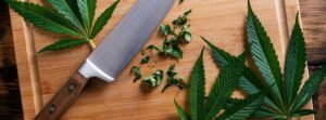 cooking-with-cannabis-culinary-tips