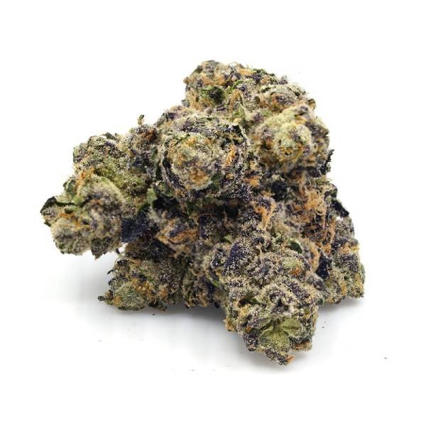 Afghan Skunk
