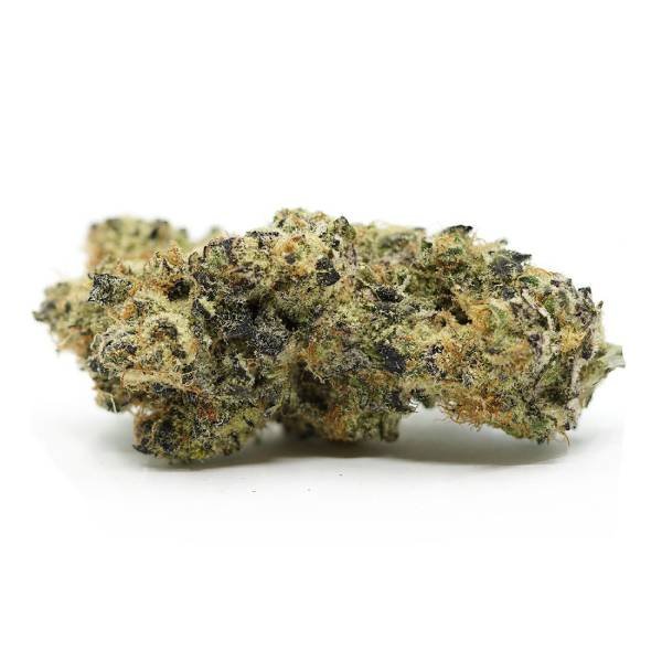 Cactus Breath