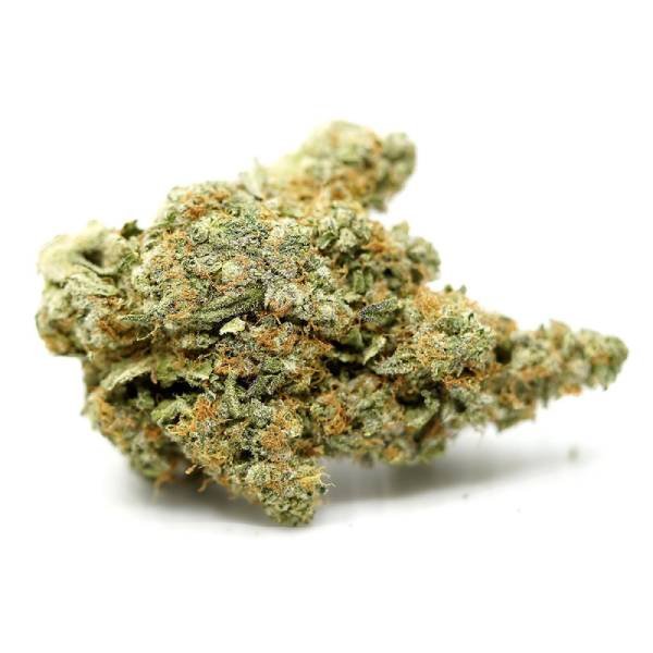 Hawaiian Hammer